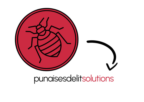 PunaisesdelitSolutions