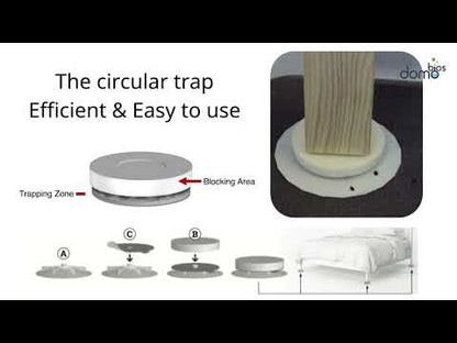 Piège de capture circulaire Domobios x4